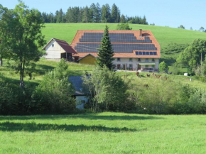 Cosy detached holiday home with terrace in the Black Forest, Sankt Georgen Im Schwarzwald